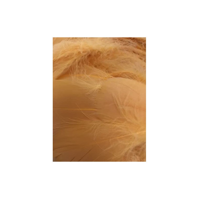 Golden Yellow Feathers, 100 Pack