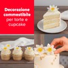 dekora – Fiori commestibili per torte – 10 margherite in