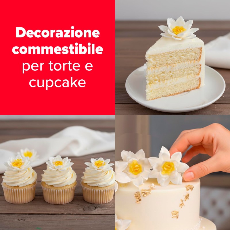 dekora – Fiori commestibili per torte – 10 margherite in