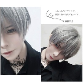 IOZO mens03 Men's Wig, Short, Full Wig, Medium, Black, Wig, Extensions, Men's Clothing, Students, Interviews, Work, Gentleman, Disguise, Cosplay, T6-grey