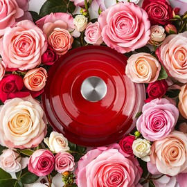 6 Quart Dutch Oven Enameled Cast Iron with Lid - Big Dual Handles - Oven Safe up to 500°F - Classic Round Pot for Versatile Cooking (Red, 6 QT)