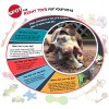 Spot Skinneeez Stuffing Free Arctic Animal Dog Toy With Squeaker
