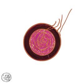 SLEEPING BEAUTY [VINYL]