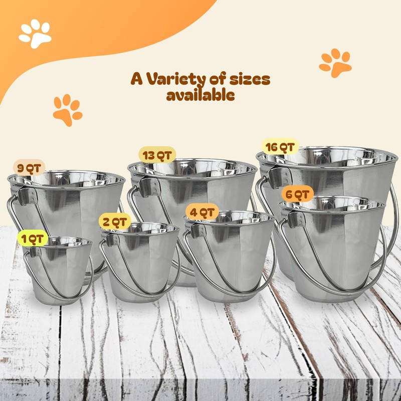 Advance Pet Products 2 Quart Heavy Duty Stainless Steel Flat