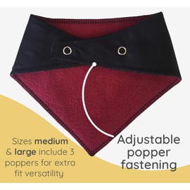 Spoilt Rotten Pets S3 Black IT'S MY BIRTHDAY Happy Birthday Dog Bandana Dog Scarf Bandana For Dogs (S3 Medium Dogs, Labs, Staffies & Springers)