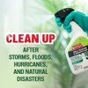 MOLD ARMOR Mold Remover & Disinfectant Cleaner, 32 oz. Spray