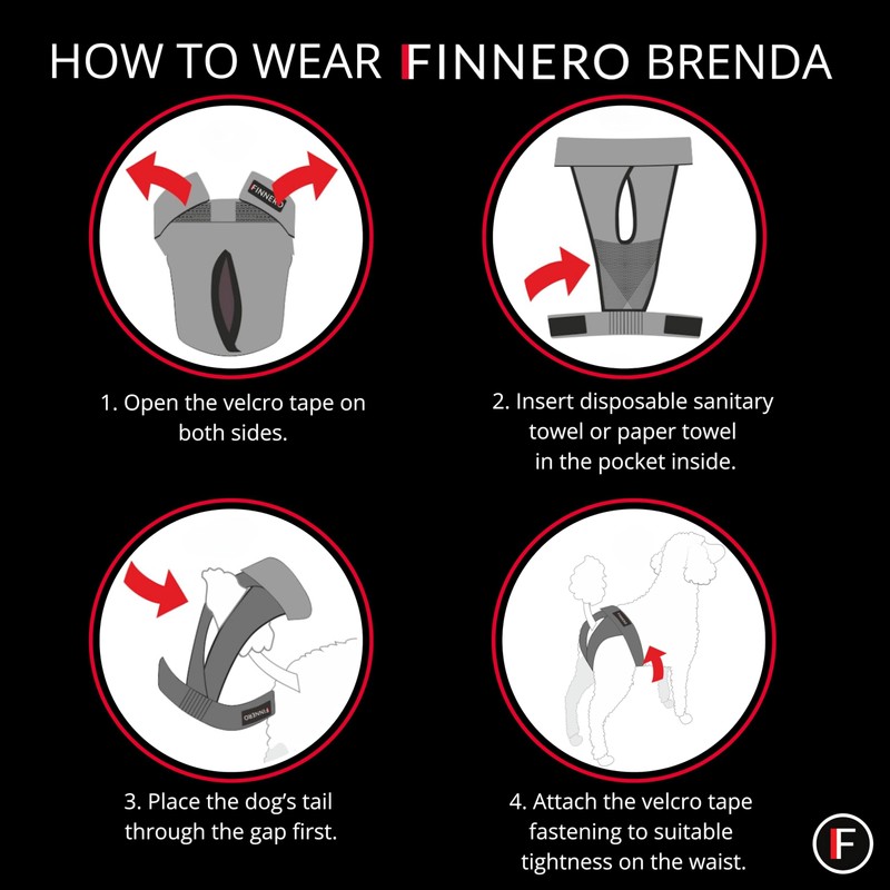 FINNERO Brenda Reusable Dog Diaper, Leak-Proof, Adjustable, Heat & Incontinence