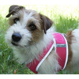 Cloak & Dawggie Mesh Step-N-Go Small Dog Harness Step in Teacup to 25 LBS. Vest Easy On Adjustable. XXXS XSmall Toy Puppies to Medium. Reflective Soft Walking Doggy Wrap Vest (7200)(Medium Pink)