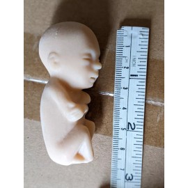 1 soft rubber model fetus, unusual medical fetal doll, abortion
