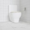 Toilet Seat, Round Toilet Seat with Quick-Release And Quick-Attach, Plastic