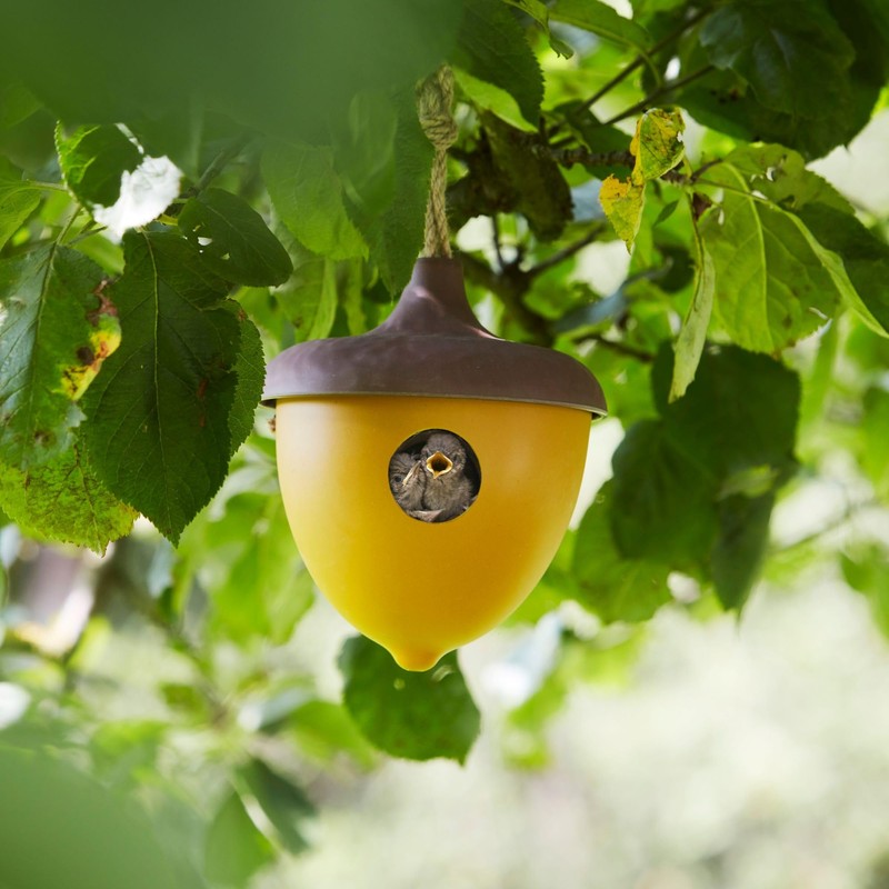 Point-Virgule Nesting Box for Birds, Bird House for Hanging, Acorns,