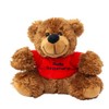 Bear with Red Shirt Get Well Soon 16 cm Teddy