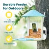 NETVUE NETVUE by Birdfy Smart Bird Feeder with Camera, Bird