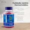 Hemorroid Hemofort Complex Rusco Bromelina Cromo Picolinato Curcumina 140 Softgels