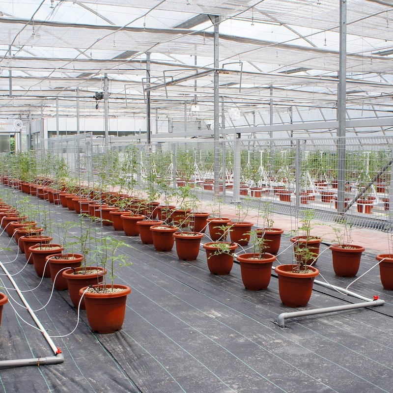 uxcell 4Pcs Clear Elbow Fitting, 25mm/0.98" 2 Way Acrylic Elbow