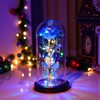 Valentines Day Romantic Gift Galaxy Rose LED Glass Dome Butterfly