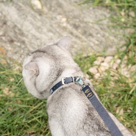 Filbert Leather Cat Collar, Reflective Cat Collar, Leather Accessories with Bell, Bird Warning, Suitable for Indoor and Outdoor, Non Breakaway, Durable, Stylish Design, Royal Blue