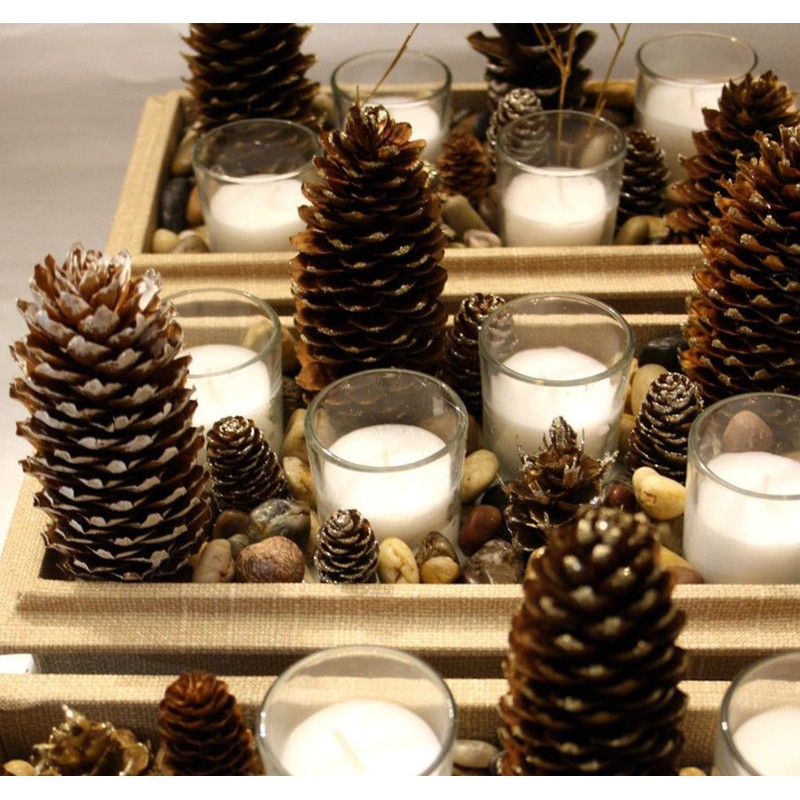 Homewit Long Pine Cones, Pack of 30 Pinus Maritima Cones