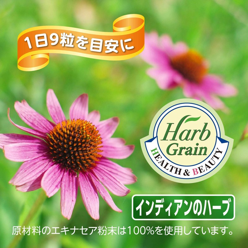 山本漢方製薬 エキナセア粒100% 280粒