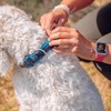 Nobby Preno Mesh Dog Collar, 30 - 45 cm/20 -