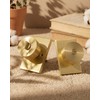 Goldenwarm Gold Door Knobs Interior, Zinc Alloy Brushed Gold Privacy