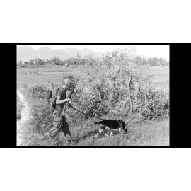 Vietnam War Scout Dog PHOTO US Army Specialist and German Shepherd Chief