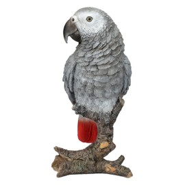 Figuren Shop GmbH Parrot Grey Garden Ornament - Lifelike Parrot Figurine by HotAnt, 22.5 cm Height, Weatherproof & Hand Painted