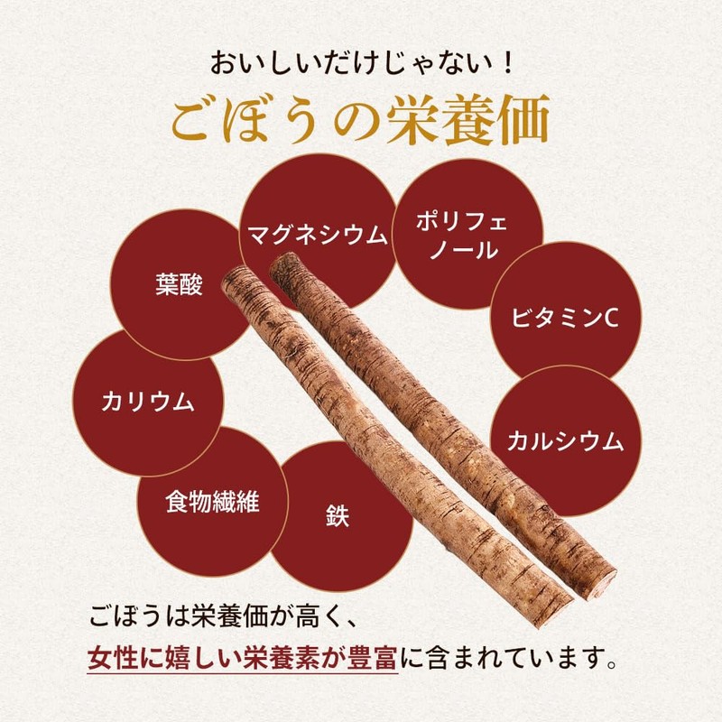 オーガランド ごぼう ごぼうパウダー ごぼう粉末 100g ゴボウ 国産 野菜パウダー 野菜 粉末