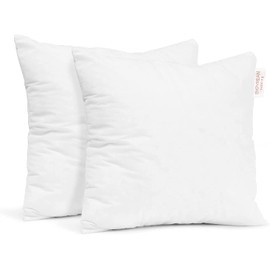 Empyrean Bedding Throw Pillow - 16 x 16 Inches Decorative Pillow Insert - Cotton Blend Outer Shell Indoor & Outdoor Pillows (Pack of 2, White)
