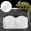 NA Reptile Feeding Ledge with 10 Pcs Water Food Bowl