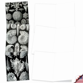 The Best Card Company - 10 Blank Note Cards with Envelopes (4 x 5.12 Inch) - Black & White Photos, Bulk Boxed Set - Sea World M9693OCB