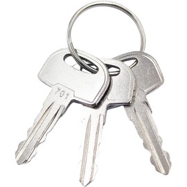 SPJIUQI 3Pcs 701 Ignition Keys 105-1790 45501 3CX for Ditch Witch Trencher Directional Drills JT20 JT/AT60 JT9 RT80 RT45 FX50 FX60 410SX MR90 SK1050 JCB Heavy Equipment 1400B 1550B 1600B 1700B