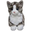 Tabby Cat Soft Toy 12"