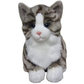 Tabby Cat Soft Toy 12"