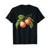 Ackee Fruit Vintage Sunset T-Shirt