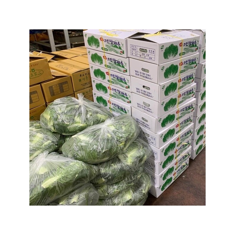 국내산 쌈채소 쌈배추 500g 내외 Domestic Ssam Vegetable Ssam Baechu