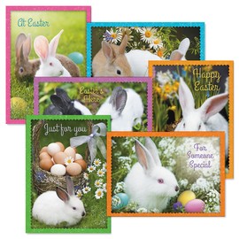 Current Photo Bunny Border Easter Greeting Card Set - Value Pack of 12 Cards for Kids & Adults With White Envelopes, 12 Design Prints, Large 5" x 7" Greetings