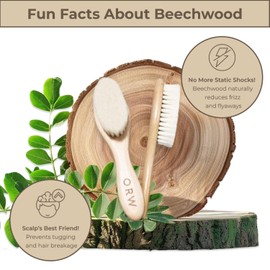 ORW Wooden Beech Handle Wool Brush, Natural White Bristles