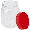 Sunpet J0500 Food Storage Canisters, Plastic, Red, 500 ml, Small,