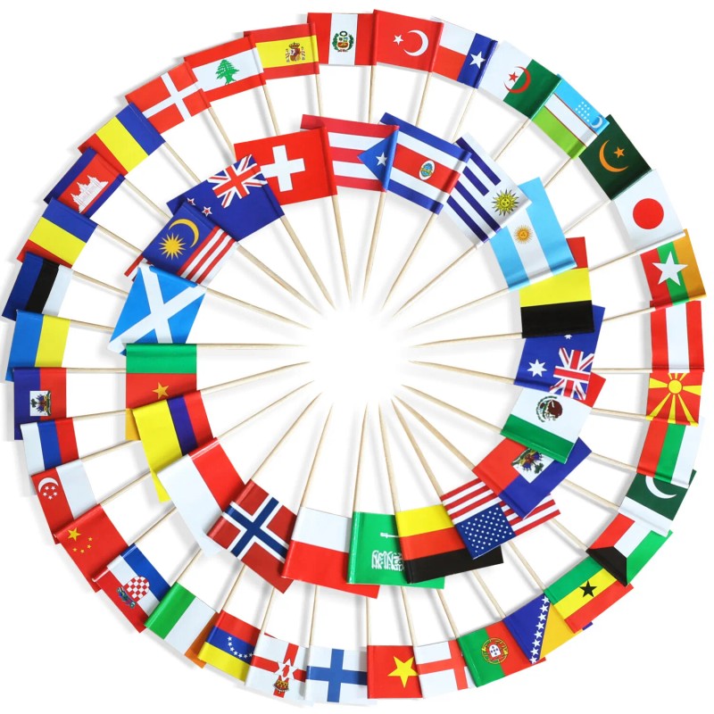 Anley Assorted 100 Different Countries Toothpick Flag Double Sided &