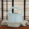 Typhoon Otto Collection | Stovetop Kettle - Blue