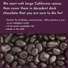 WinCrest Dark Chocolate Covered Raisins (1.5 Lb Tub)