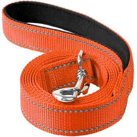 Erbine 6FT Reflective Nylon Dog Leash with Soft Padded Handle for Walking, Running and Training, Supports Small Medium and Large Dogs (Orange, 3/4Inch Wide)