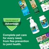 Advantage II Large Cat Vet-Recommended Flea Treatment & Prevention |