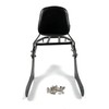 Worldmotop Motorcycle Sissy Bar Backrest Rear Passenger Seat for Kawasaki