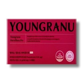 영라뉴 장용성 파비플로라 PRO 440mg 14캡슐 Youngra New Jang Yongseong Fabiflora PRO 440mg 14 Capsules