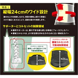 Vantelin Kowa Supporter Lumbar Corset, Large, Size L, 31.5 - 39.4 in (80 - 100 cm) Circumference at the Navel, Blue/Gray