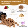 Petnanny Cranberry Supplement for Dogs - Urinary Tract Support