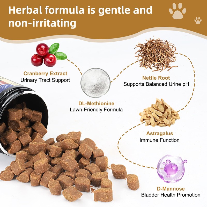 Petnanny Cranberry Supplement for Dogs - Urinary Tract Support