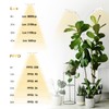GLOWRIUM Grow Light with Stand,2-Head LED Plant Light for Indoor